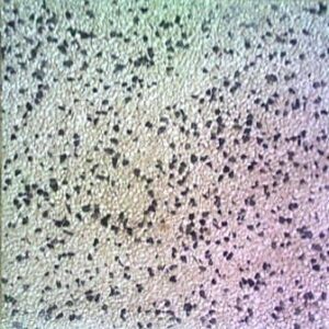 Baldosa Hidraulica-40×40 Pidera Lavada-B