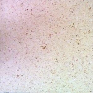 Terrazo 40×40 Mod. 2007
